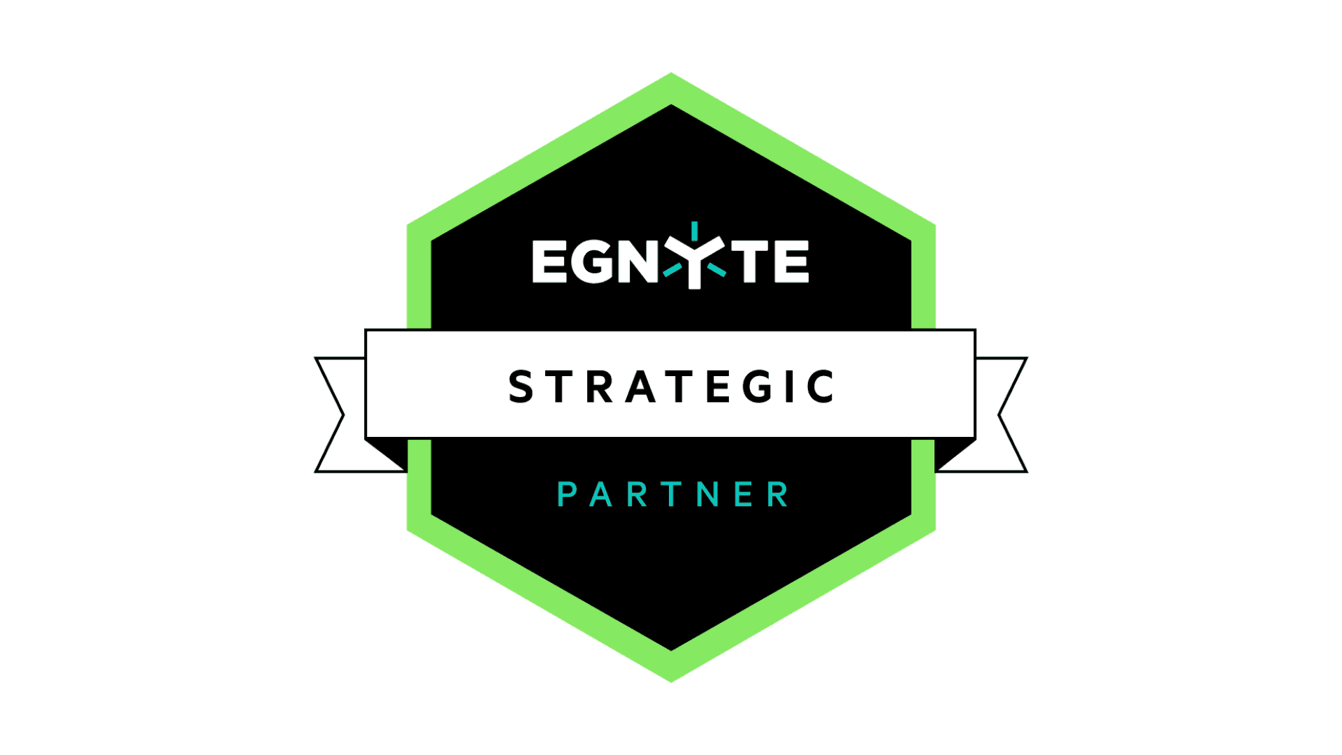 Egnyte Logo